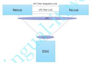 ESXの仮想スイッチとCisco Nexusを接続する
